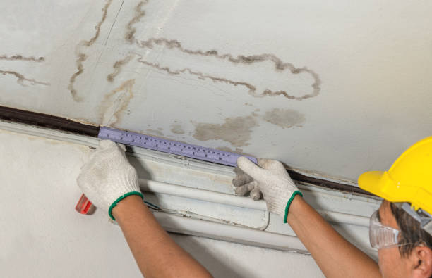 Reliable Water Damage contractor in Woodland, MI by Water Damage Irwin
